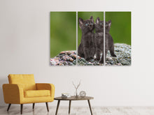 Laden Sie das Bild in den Galerie-Viewer, Leinwandbild 3-teilig 2 schwarze Katzenbabys