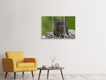 Laden Sie das Bild in den Galerie-Viewer, Leinwandbild 3-teilig 2 schwarze Katzenbabys