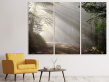 Laden Sie das Bild in den Galerie-Viewer, Leinwandbild 3-teilig Mystisches Licht im Wald