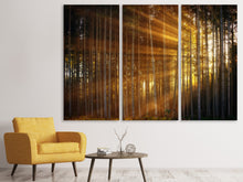 Laden Sie das Bild in den Galerie-Viewer, Leinwandbild 3-teilig Bäume in Sonnenstrahlen