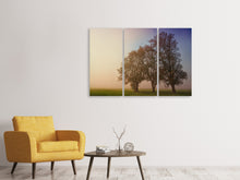 Laden Sie das Bild in den Galerie-Viewer, Leinwandbild 3-teilig Der schiefe Baum