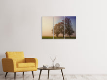 Laden Sie das Bild in den Galerie-Viewer, Leinwandbild 3-teilig Der schiefe Baum