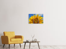 Laden Sie das Bild in den Galerie-Viewer, Leinwandbild 3-teilig Sonnenblume in XXL