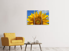 Laden Sie das Bild in den Galerie-Viewer, Leinwandbild 3-teilig Sonnenblume in XXL