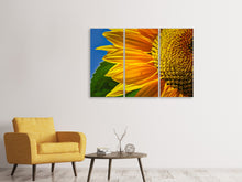 Laden Sie das Bild in den Galerie-Viewer, Leinwandbild 3-teilig Die Knospe Close up