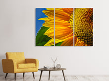 Laden Sie das Bild in den Galerie-Viewer, Leinwandbild 3-teilig Die Knospe Close up