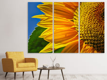 Laden Sie das Bild in den Galerie-Viewer, Leinwandbild 3-teilig Die Knospe Close up