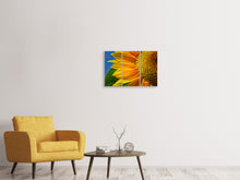 Laden Sie das Bild in den Galerie-Viewer, Leinwandbild 3-teilig Die Knospe Close up