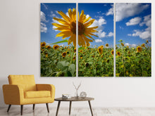 Laden Sie das Bild in den Galerie-Viewer, Leinwandbild 3-teilig Eine Sonnenblume unter vielen
