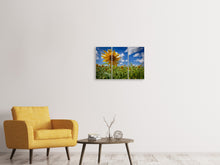 Laden Sie das Bild in den Galerie-Viewer, Leinwandbild 3-teilig Eine Sonnenblume unter vielen