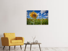 Laden Sie das Bild in den Galerie-Viewer, Leinwandbild 3-teilig Eine Sonnenblume unter vielen
