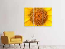 Laden Sie das Bild in den Galerie-Viewer, Leinwandbild 3-teilig Wunderschöne Knospen der Sonnenblume