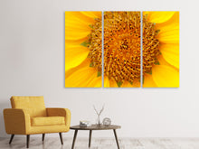 Laden Sie das Bild in den Galerie-Viewer, Leinwandbild 3-teilig Wunderschöne Knospen der Sonnenblume