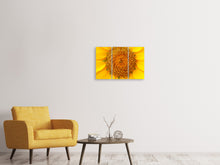 Laden Sie das Bild in den Galerie-Viewer, Leinwandbild 3-teilig Wunderschöne Knospen der Sonnenblume
