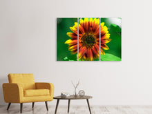 Laden Sie das Bild in den Galerie-Viewer, Leinwandbild 3-teilig Farbenprächtige Sonnenblume