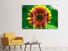 Laden Sie das Bild in den Galerie-Viewer, Leinwandbild 3-teilig Farbenprächtige Sonnenblume