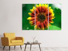Laden Sie das Bild in den Galerie-Viewer, Leinwandbild 3-teilig Farbenprächtige Sonnenblume