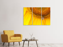 Laden Sie das Bild in den Galerie-Viewer, Leinwandbild 3-teilig Close up Gelbe Knospe