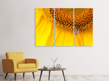 Laden Sie das Bild in den Galerie-Viewer, Leinwandbild 3-teilig Close up Gelbe Knospe