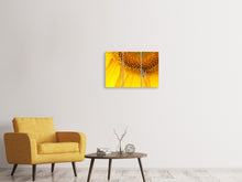 Laden Sie das Bild in den Galerie-Viewer, Leinwandbild 3-teilig Close up Gelbe Knospe