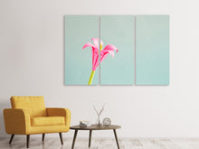 Laden Sie das Bild in den Galerie-Viewer, Leinwandbild 3-teilig Blumen Origami
