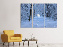 Laden Sie das Bild in den Galerie-Viewer, Leinwandbild 3-teilig Endlich Winter