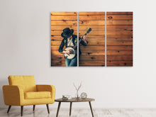 Laden Sie das Bild in den Galerie-Viewer, Leinwandbild 3-teilig Cooler Musiker