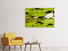 Laden Sie das Bild in den Galerie-Viewer, Leinwandbild 3-teilig Der Frosch und die Seerose