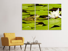 Laden Sie das Bild in den Galerie-Viewer, Leinwandbild 3-teilig Der Frosch und die Seerose