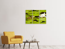 Laden Sie das Bild in den Galerie-Viewer, Leinwandbild 3-teilig Der Frosch und die Seerose
