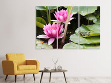 Laden Sie das Bild in den Galerie-Viewer, Leinwandbild 3-teilig Der Frosch im Schutz der Seerosen