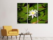 Laden Sie das Bild in den Galerie-Viewer, Leinwandbild 3-teilig Die weisse Seerose