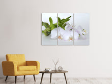 Laden Sie das Bild in den Galerie-Viewer, Leinwandbild 3-teilig Orchidee und Bambus