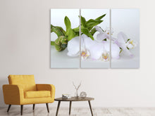 Laden Sie das Bild in den Galerie-Viewer, Leinwandbild 3-teilig Orchidee und Bambus