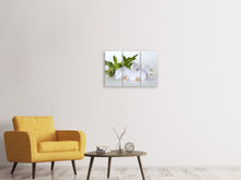 Laden Sie das Bild in den Galerie-Viewer, Leinwandbild 3-teilig Orchidee und Bambus