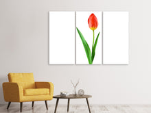 Laden Sie das Bild in den Galerie-Viewer, Leinwandbild 3-teilig Die stolze Tulpe