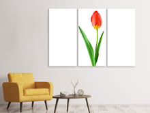 Laden Sie das Bild in den Galerie-Viewer, Leinwandbild 3-teilig Die stolze Tulpe