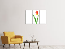 Laden Sie das Bild in den Galerie-Viewer, Leinwandbild 3-teilig Die stolze Tulpe
