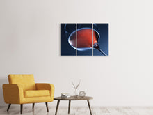 Laden Sie das Bild in den Galerie-Viewer, Leinwandbild 3-teilig Ein Glas Rose