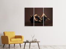 Laden Sie das Bild in den Galerie-Viewer, Leinwandbild 3-teilig Kunst auf dem Körper