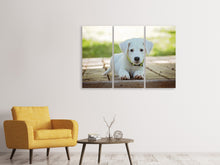 Laden Sie das Bild in den Galerie-Viewer, Leinwandbild 3-teilig Süsses Hunde Baby