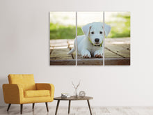 Laden Sie das Bild in den Galerie-Viewer, Leinwandbild 3-teilig Süsses Hunde Baby
