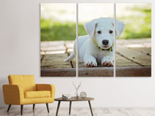 Laden Sie das Bild in den Galerie-Viewer, Leinwandbild 3-teilig Süsses Hunde Baby