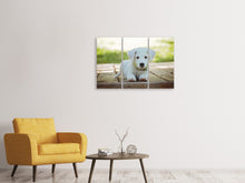 Laden Sie das Bild in den Galerie-Viewer, Leinwandbild 3-teilig Süsses Hunde Baby