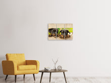 Laden Sie das Bild in den Galerie-Viewer, Leinwandbild 3-teilig 2 Rottweiler Welpen