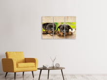 Laden Sie das Bild in den Galerie-Viewer, Leinwandbild 3-teilig 2 Rottweiler Welpen