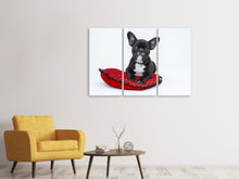 Laden Sie das Bild in den Galerie-Viewer, Leinwandbild 3-teilig Bulldogge zum Verlieben