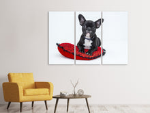 Laden Sie das Bild in den Galerie-Viewer, Leinwandbild 3-teilig Bulldogge zum Verlieben