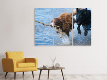 Laden Sie das Bild in den Galerie-Viewer, Leinwandbild 3-teilig Spielende Hunde