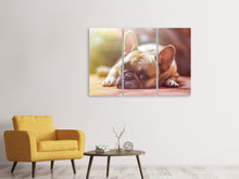 Laden Sie das Bild in den Galerie-Viewer, Leinwandbild 3-teilig Müde Bulldogge
